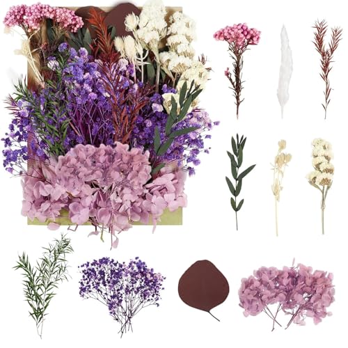 Getrocknete Blumen, gepresste Blumen, Trockenblumen, Trockenblumen, Basteln für DIY-Kunst, Kunstharz, Scrapbooking, Schmuckherstellung, Blumendekorationen (lila)