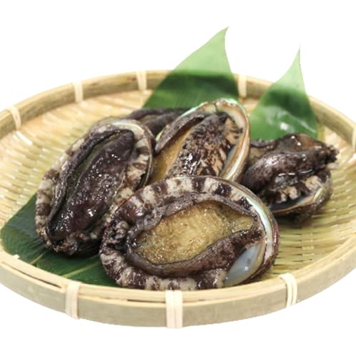 活エゾアワビ 約500g 冷蔵 鮑 蝦夷あわび 活あわび あわび アワビ 鮑 Abalone ステーキ バターソテー 正月 お正月 おせち 刺し身 刺身 バーベキュー BBQ ごはん 夕飯 おかず おつまみ 晩酌 米 丼 海産物 海鮮 魚介 魚介類 贈答品 お中元 お歳暮 三陸 国産