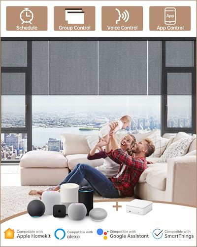 Smart home Alexa hub