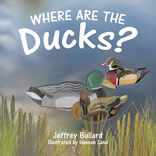 Image of Where Are the Ducks?