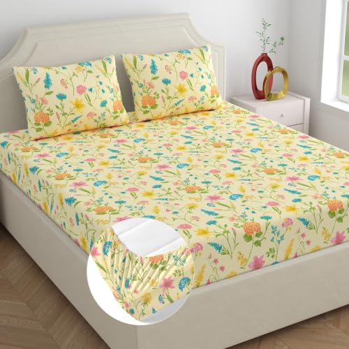 Image of Home Ecstasy 100% Cotton King Fitted Bedsheet with 2 Pillow Covers - (Size 72 x 78 inches, 140 TC, Colour - Cream)