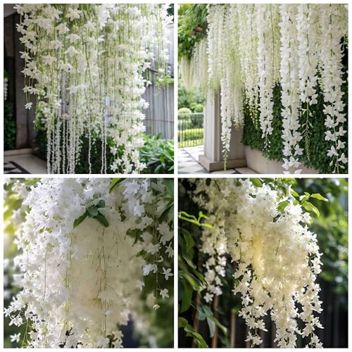 210+ Climbing Weeping Jasmine Flower Seeds for Planting Climbing Jasmine Fragrant Plant Seeds Non-GMO Garden Balcony Climbing Flower