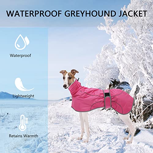 Geyecete- Wasserdicht Windhunde Mantel Fleece Whippet Pullover Winterjacke,Verstellbaren Reflektierend Outdoor Hundemantel für mittel und Grosse Galgo Windhund Whippet Lurcher Saluki-Rosa-XXXL