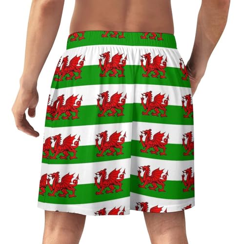 Welsh Dragon Flags Men's Satin Pajama Boxer Shorts Silk Feeling Lounge Sleep Underwear3