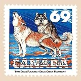 Two Dogs Fucking