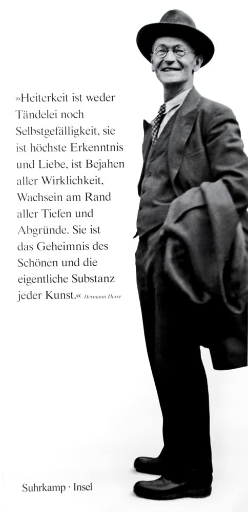 Poster Hermann Hesse grand format Suhrkamp Verlag plano non plié pour fans de littérature