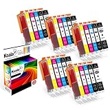 Koala 25 Druckerpatronen Kompatibel für Canon PGI-550XL CLI-551XL PGI-550 CLI-551 für Canon Pixma IX6850 IP7250 IP8750 MG5450 MG5550 MG6350 MG6450 MG7150 MX725 MX925 (5BK/5B/5C/5M/5Y)