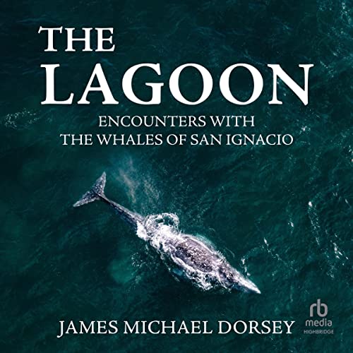 The Lagoon by James Michael Dorsey episode artwork