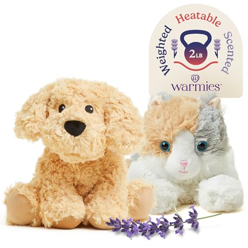 How long do female calico cats live