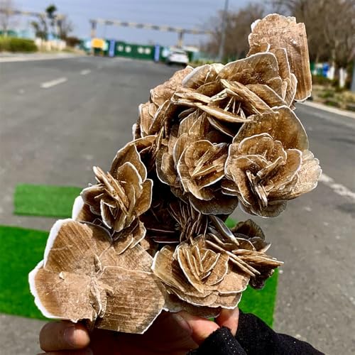 Rosa del desierto y selenita para decorar una oficina zen o dormitorio 6
