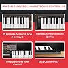 Nektar SE25 | USB MIDI Controller Keyboard with Nektar DAW Integration Black
