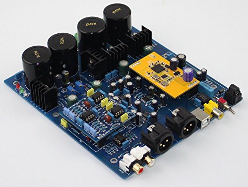 Décodeur DSD1796 double puce pour salon de musique et écoute hi-fi