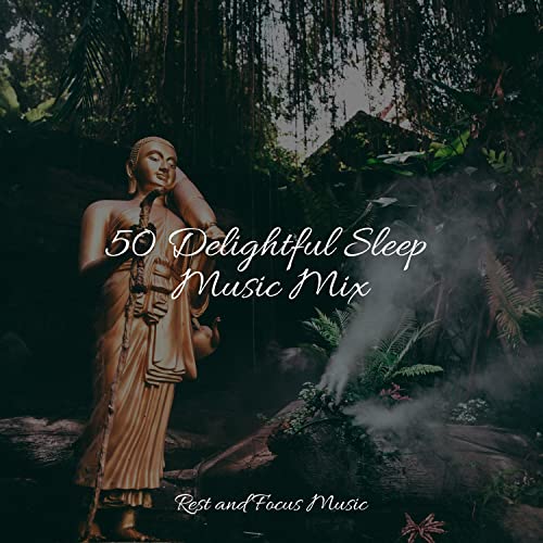 Play 50 Delightful Sleep Music Mix by Shakuhachi Sakano, Schlaflieder