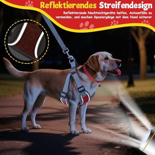 3 Stück Hundegeschirr und Leine Set, Verstellbares Brustgeschirr, Reflektierendes atmungsaktives Hundegeschirr mit D-Ring, Hundegeschirrs Set für Welpen, Kleine Hunde