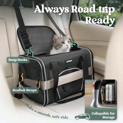 Image of rabbitgoo Cat Carrier Soft Sided, Stable Portable Pet Carrier with Safety Buckles for Car Travel Vet Visit Airline, Comfortable Breathable Kitten Bag for Small Medium Cat, Black, 17x11x11 inch