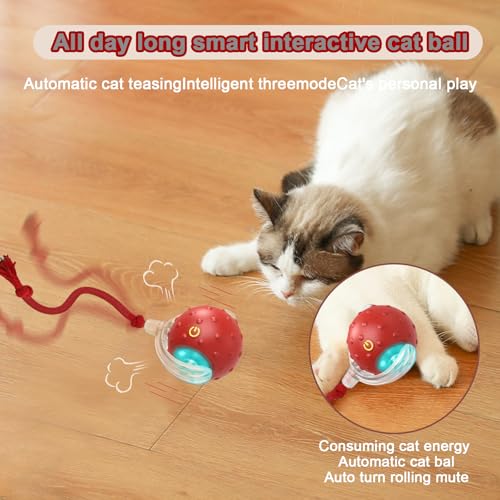 KQLHLHDYZ Interactive Cat Toy Ball Electric Automatic Toys for Indoor Cats with Birdsong Irregular Movement Cat Toys for Indoor Cats Adult All Floors & Carpet Available - Image 2