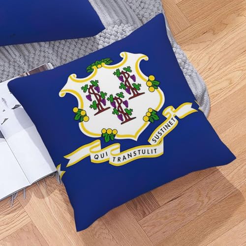 Housses de coussin décoratives Connecticut, set de 2 textiles pour canapé - 8