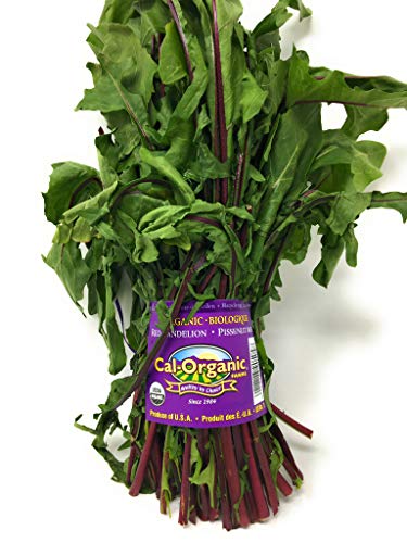 Greens Dandelion Red Organic 1 Each