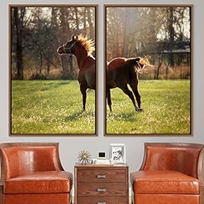 signwin 2 Piece Framed Canvas Wall Art Horse...