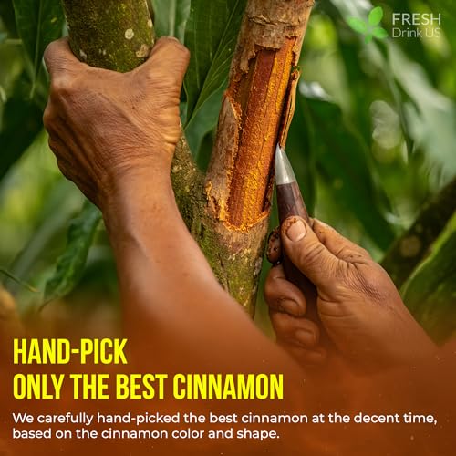 Image of FreshDrinkUS, Premium 135 Cinnamon Tea Bags, 100% Natural & Pure, Herbal Tea, Made with Natural Materials-Corn Fiber Tea Bags, Sugar /Caffeine /Gluten Free. Warmly Taste and Balance.