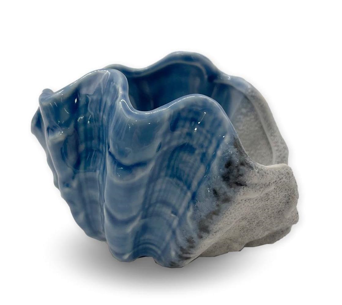 The Bridge Collection4" Sea Shell Dish-Ceramic Shell Sponge Holder-Nautical Decor for Coastal Bathroom-Housewarming Gift-Cute Sea Shell Figurine-Coastal Decor for Table Center Piece- Blue Shell Dish