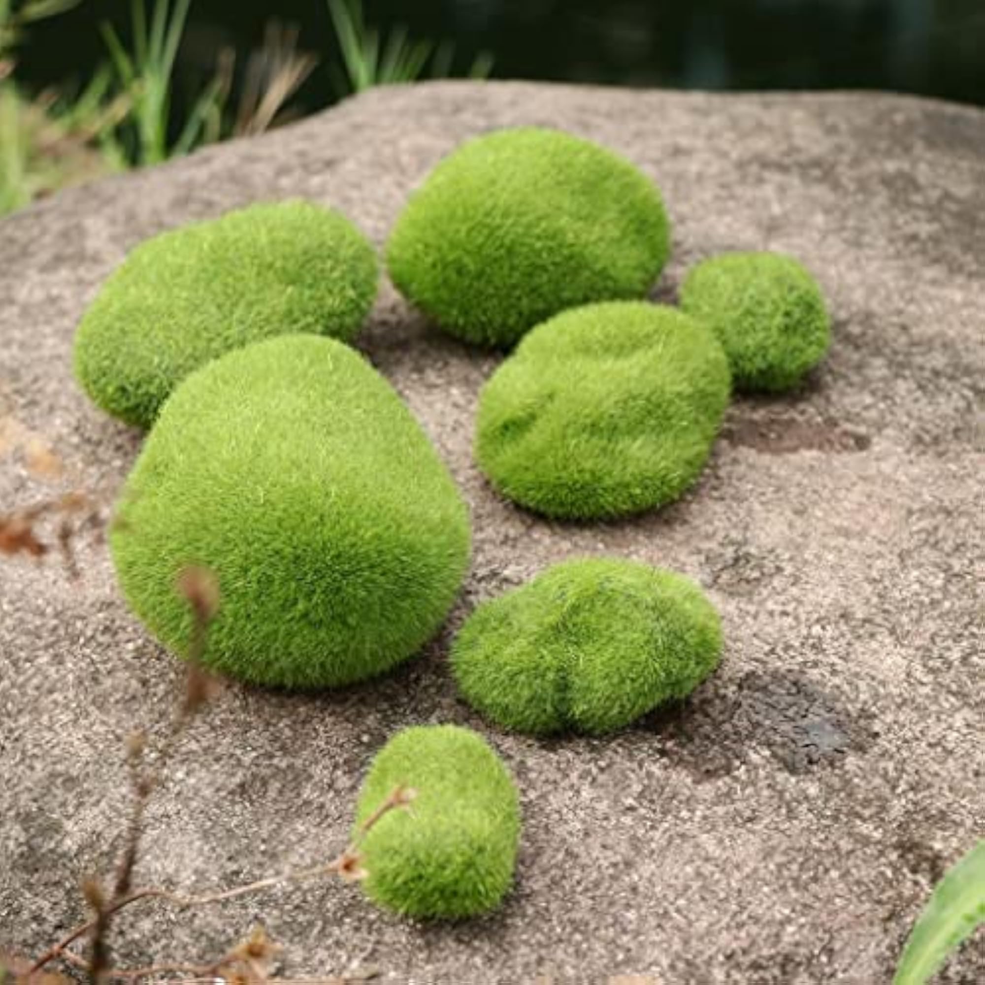 10Pcs Simulation Moss Balls for Garden Decoration