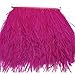 KOLIGHT Pack of 2 Yards Natural Dyed Ostrich Feathers Trim Fringe 4inch for DIY Dress Sewing Crafts Costumes Decoration (Rose)