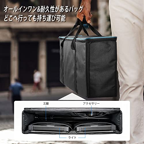 Dazzne 撮影用ライト D50 の商品画像 4