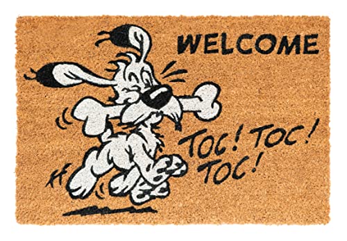 Grupo Erik Kokosmatte Fußmatte Asterix und Obelix - Schmutzfangmatte 40x60 cm - Fussmatte Lustig -...