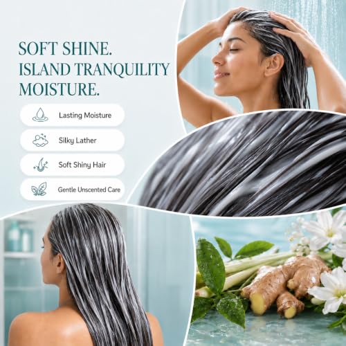 Image of Ginger Lily Farms Botanicals Conditioner, 128oz /4pk, Island Tranquility