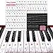 Amovibles Autocollants de Clavier de Piano, Touches Note Autocollant pour Touches Noires et Blanches, Stickers Musique Clavier pour 49/61/54/88 Touches pour Débutants Apprentissage du Piano