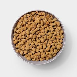 Gut-Health-Fresh-Freeze-Dried-Raw-Meal-Chicken-Recipe-32-Ounce-Bag-Dog-Food-for-Dogs-of-All-Breeds-and-Life-Stages-Made-in-USA - Cucciolini Doodles   Gut-Health-Fresh-Freeze-Dried-Raw-Meal-Chicken-Recipe-32-Ounce-Bag-Dog-Food-for-Dogs-of-All-Breeds-and-Life-Stages-Made-in-USA