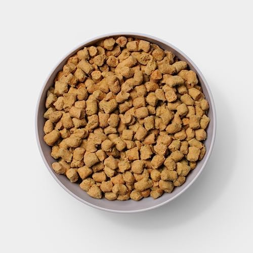 Gut-Health-Fresh-Freeze-Dried-Raw-Meal-Chicken-Recipe-32-Ounce-Bag-Dog-Food-for-Dogs-of-All-Breeds-and-Life-Stages-Made-in-USA - Cucciolini Doodles   Gut-Health-Fresh-Freeze-Dried-Raw-Meal-Chicken-Recipe-32-Ounce-Bag-Dog-Food-for-Dogs-of-All-Breeds-and-Life-Stages-Made-in-USA