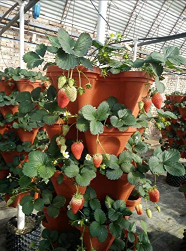 5-Tier Strawberry And Herb Garden Planters 5@13X13X5.2 Inch - 24 Quart Stackable Gardening Pots With 10 Inch Saucer (Terra-Cotta) #TOP2