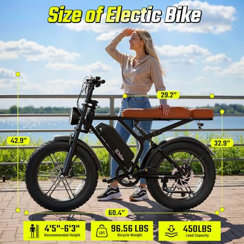 Image of TST Electric Bike for Adults, 1500W Peak Motor 60 Miles Fat Tire Ebike with 48V 15Ah Removable Battery 20 inch Fat Tire Electric Bike, Dual Suspension，R002