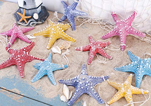 RAYLINE-DO RayLineDo Creative Mediterranean Style Design Beach Starfish Resin Five-Pointed Star in White Home Restaurant Kindergarten Wall Hanging Decoration - Image 4
