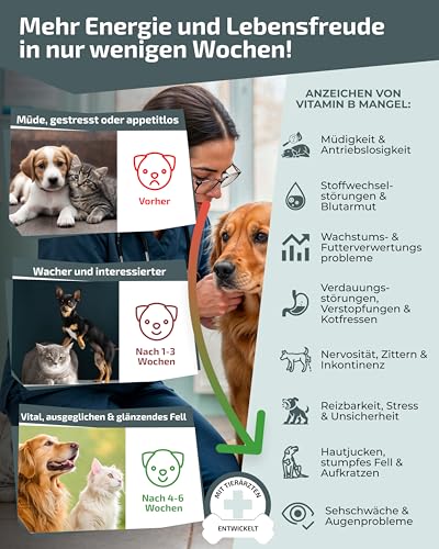 Vitamin B Komplex Hund & Katze [MADE IN GERMANY, ZUCKERFREI & LABORGEPRÜFT] Alle 8 B Vitamine für Hunde B1, B2, B3, B5, B6, B9, B12, K3 unterstützt Nerven, Energie, Fell & Immunsystem (60g (1er Pack))