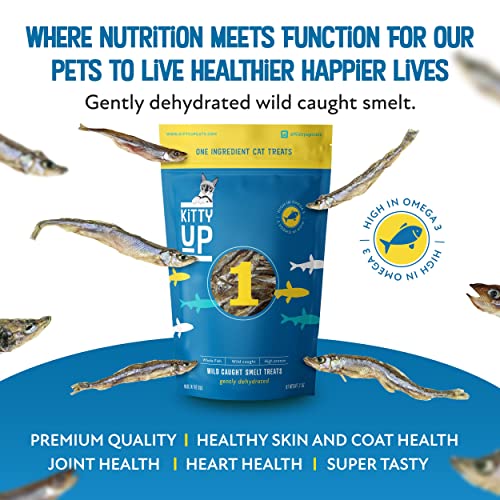 Kitty Up 1 Ingredient Wild Caught Smelt Treat - Gently Dehydrated Fish Cat Treats - High In Omega 3, Protein, Grain Free, Low Fat, Low Calorie - All Natural Cat Treats Made In The Usa - 3 Oz Bag #TOP1