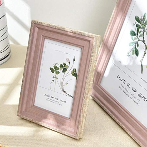 VIM 1 Pcs Resin Photo Frame For Table Modern 14 Colors Picture Frames Home Decor Delicacy Picture Frame Hanging Photo Frame,Dianyashanhuhong,10 Inch