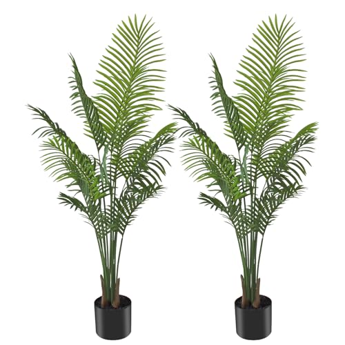 ANTING Paquete de Areca de Palmera, 5 pies, Paquete de 2