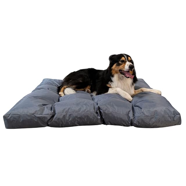 bananair - Cama Perro Suave y Confortable - Tela Repelente al Agua y Relleno de Espuma Muy Cómodo