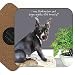I was Thinking Box Set with Treats Blue Staffy Little Dog Laughed Untersetzer Geschenk CTR98