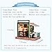 Flever Wooden DIY House Kit, Miniature with Furniture, Creative Craft Gift for Lovers and Friends (Stars' Cafe Bar)