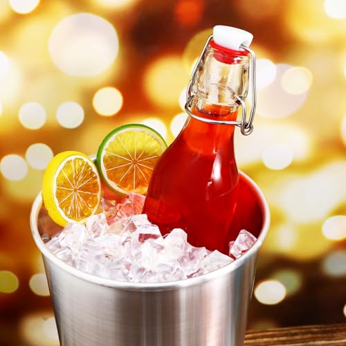Bouteilles pour boissons gazeuses transparentes et étanches lot de 6 - 6