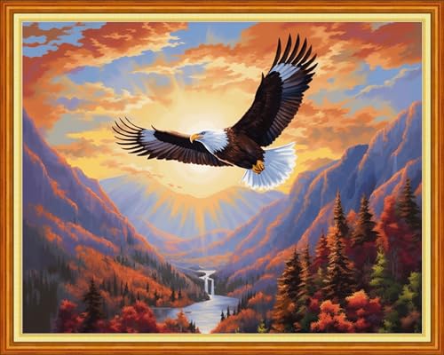 Image of Foxhool Beginners Cross Stitch Kits Stamped Full Range of Embroidery Kits for Adults DIY Cross Stitches kit Embroidery Patterns for Needlepoint kit-Eagle Mountain River 16x20 inch