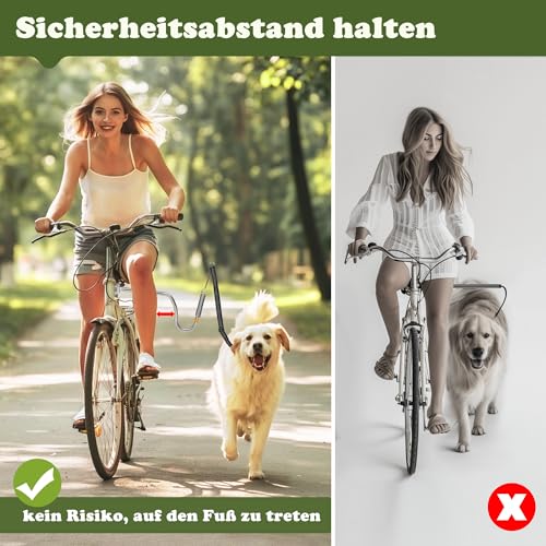 iPetba Hundeleine für Fahrrad – Freihändiges Fahrradbefestigungsseil für Hunde, Stoßdämpfend, Verstellbare Länge