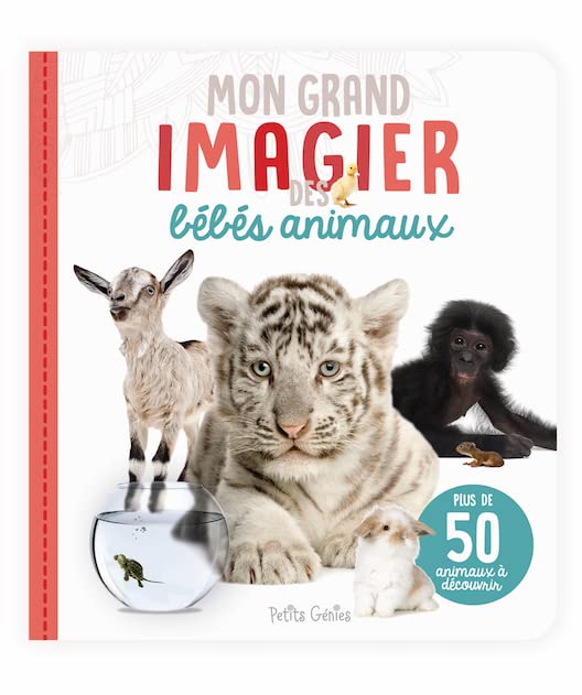 mon grand imagier des leles animaux
