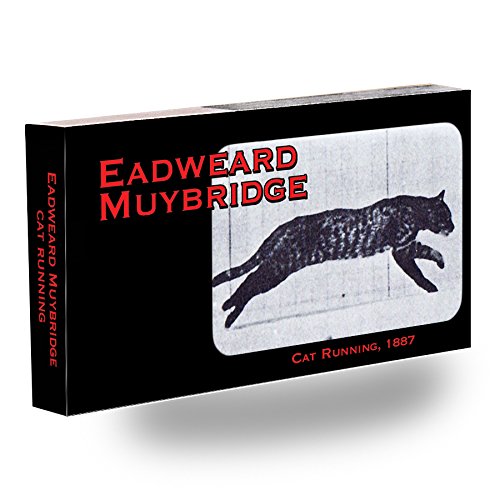 Fliptomania Muybridge Cat Flipbook
