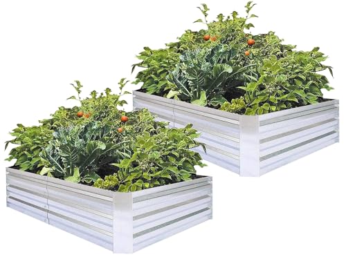 FOYUEE Galvanized Raised Garden Beds for Vegetables Large Metal Planter Box Steel Kit Flower Herb (6 x 3 x 1 ft * 2 Pack, Galvanized)