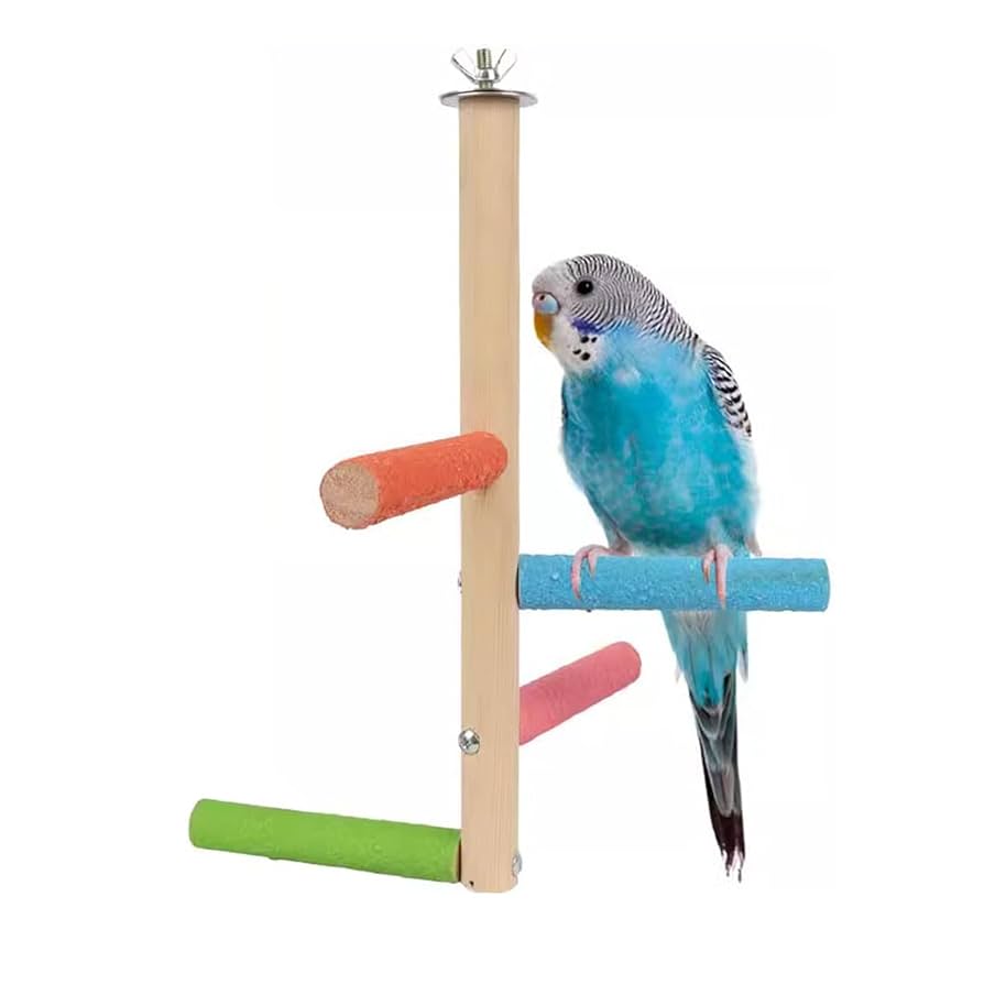 オウムアスレチックスタンド オウム{アスレチックスタンド}ヨウム用